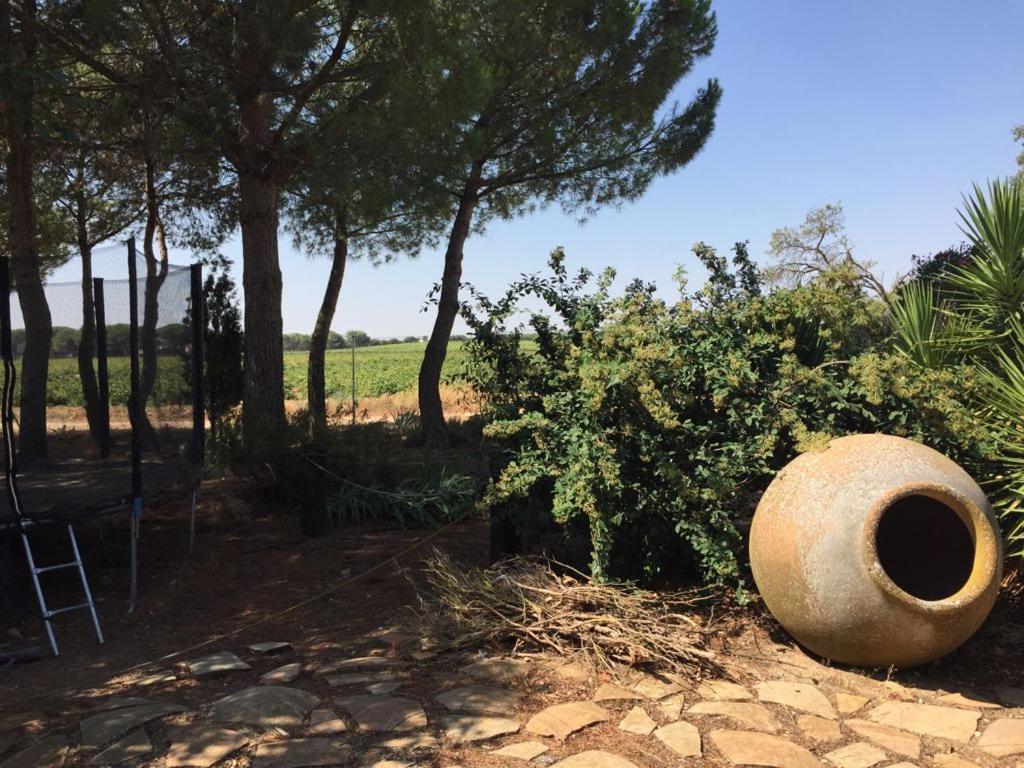 Casa Rural La Navarra บียาร์โรเบลโด ภายนอก รูปภาพ