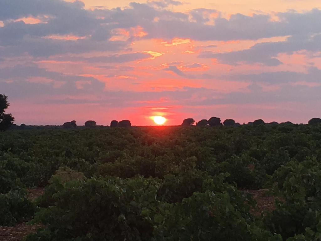 Casa Rural La Navarra บียาร์โรเบลโด ภายนอก รูปภาพ