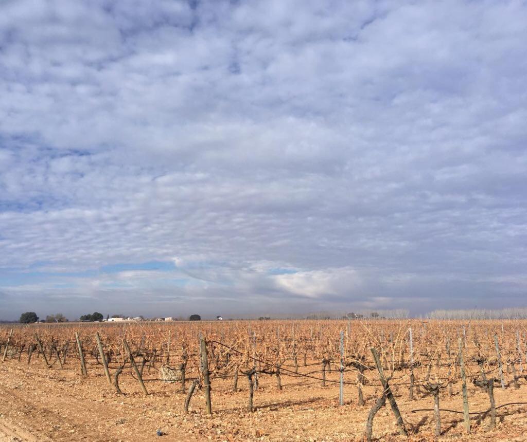 Casa Rural La Navarra บียาร์โรเบลโด ภายนอก รูปภาพ