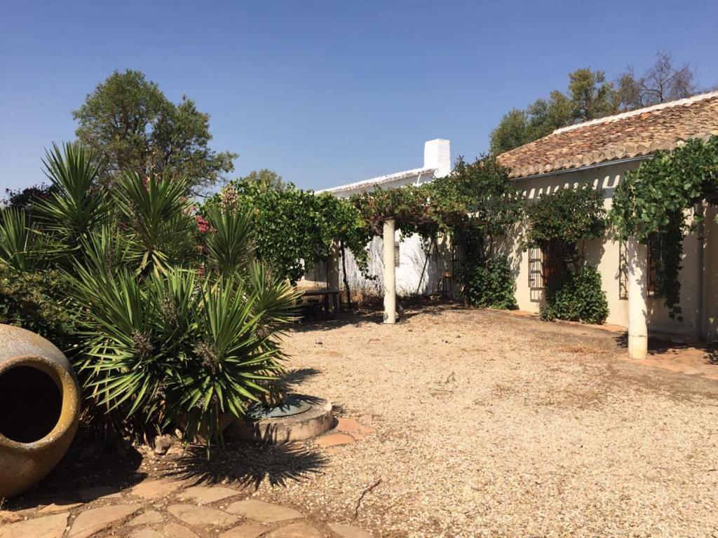 Casa Rural La Navarra บียาร์โรเบลโด ภายนอก รูปภาพ