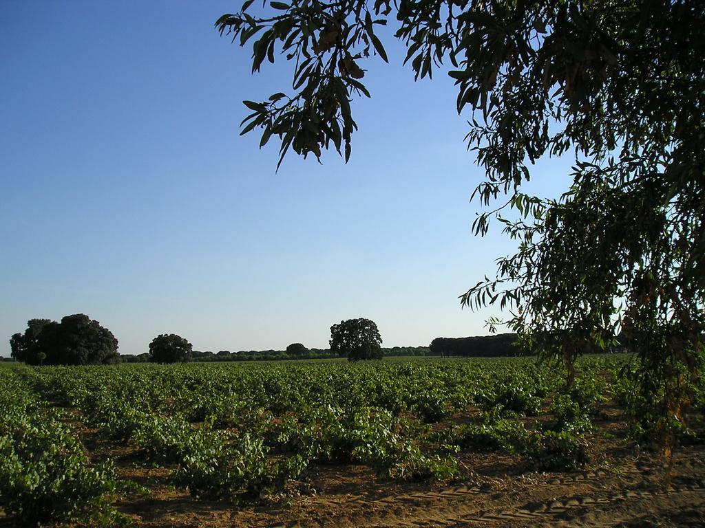 Casa Rural La Navarra บียาร์โรเบลโด ภายนอก รูปภาพ